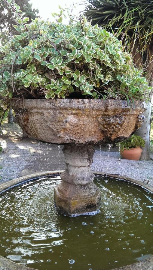 Villa Rural El Poleo D&R Con Piscina Climatizada Privada Y Solarium Pico de Viento エクステリア 写真